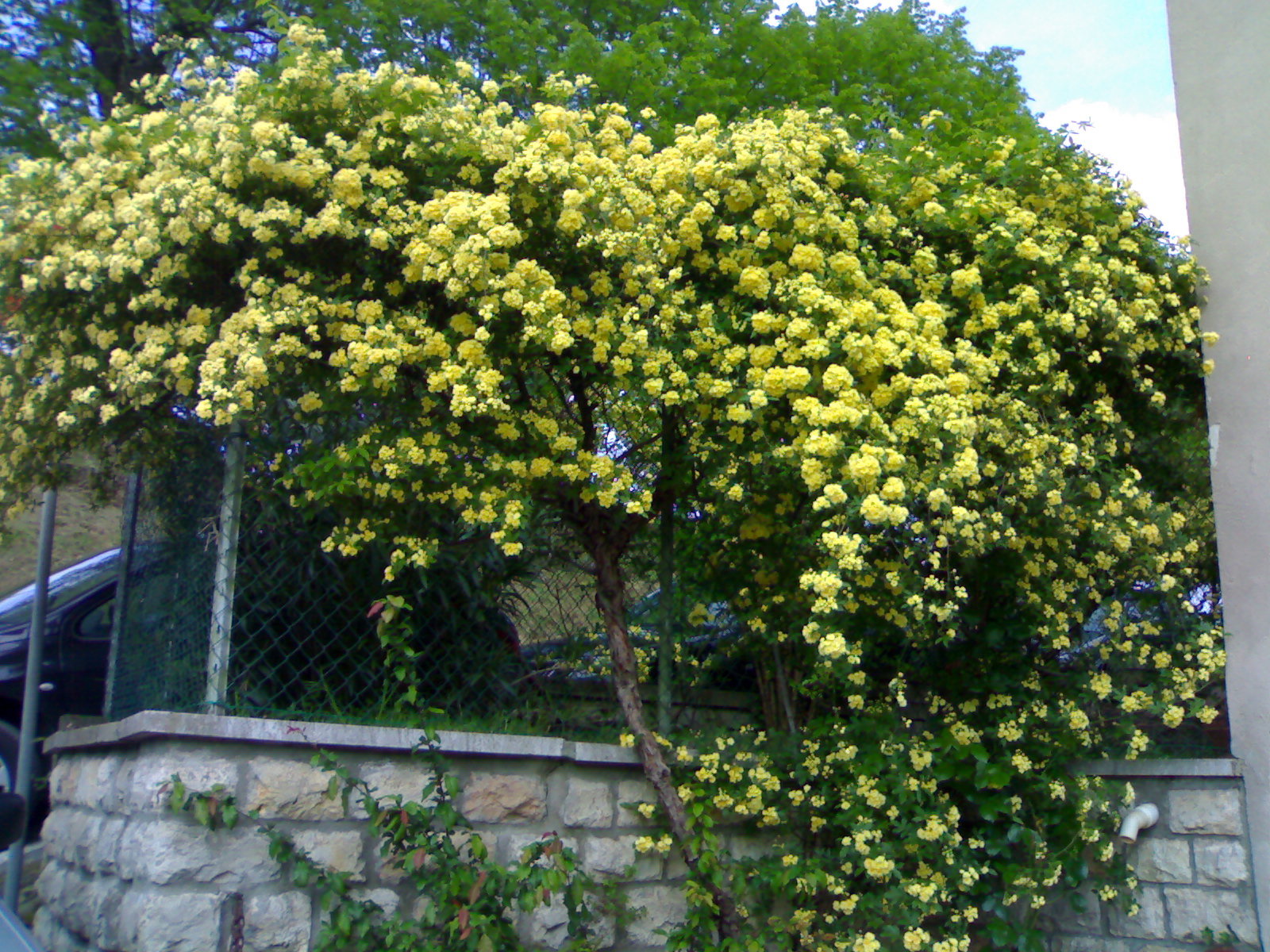 توضیحات
