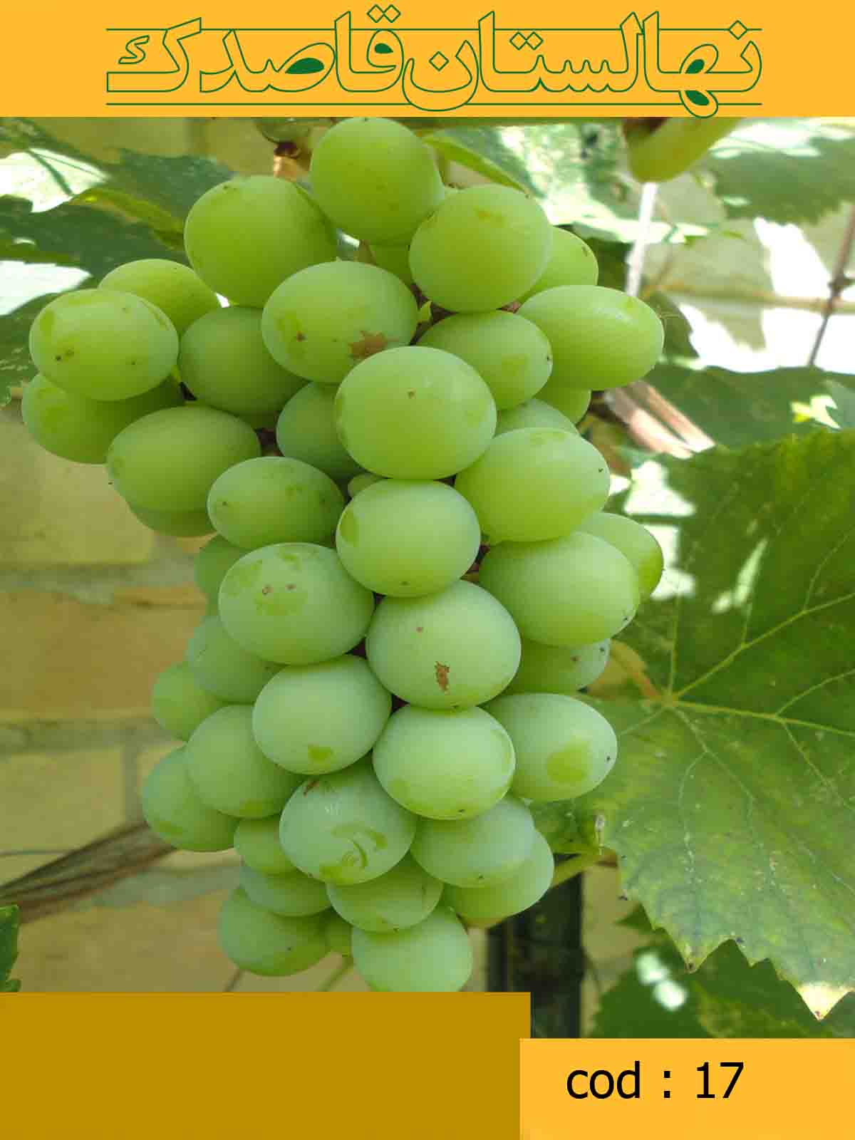 توضیحات