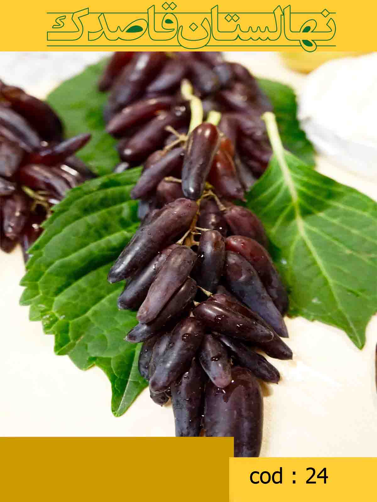توضیحات
